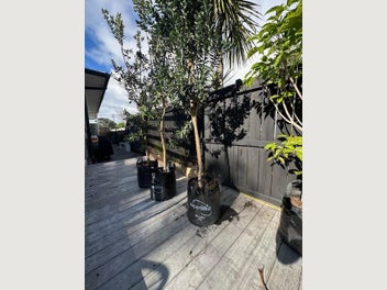 Image 1 of 5