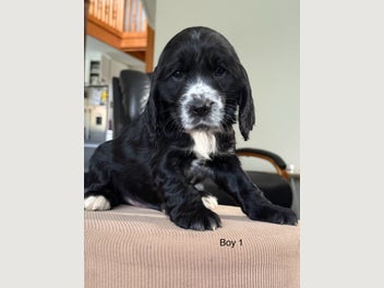 Image 1 of 6