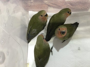 Image 1 of 5