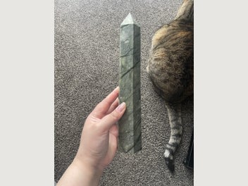 Image 1 of 14