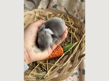 Image 1 of 6