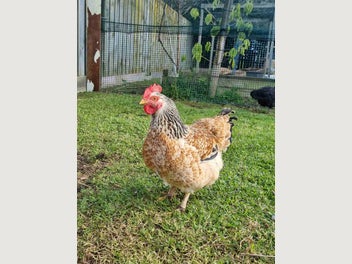 Image 1 of 8