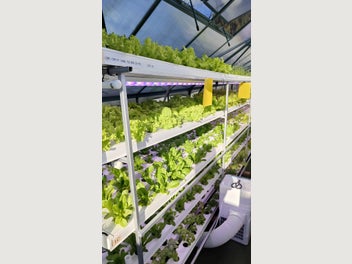 Image 1 of 20