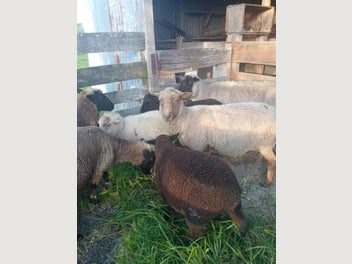 Image 1 of 20