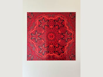 Image 1 of 10