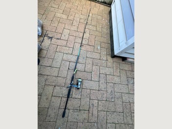 Image 1 of 11