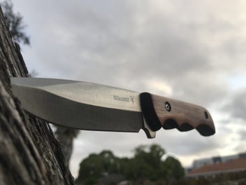 Image 1 of 11