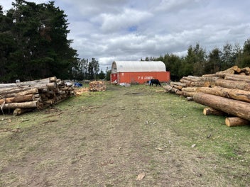Image 1 of 11