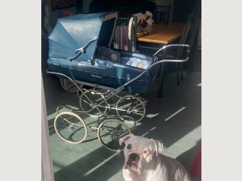 Image 1 of 5