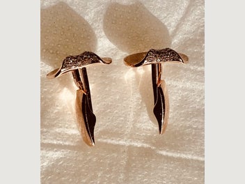 Image 1 of 12