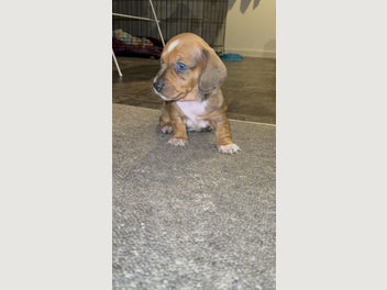 Image 1 of 9