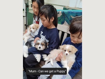 Image 1 of 19