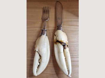 Image 1 of 4