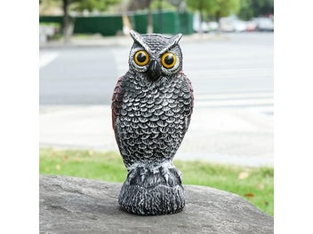 Image 1 of 8