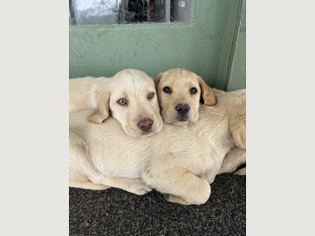 Image 1 of 19