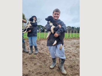 Image 1 of 11