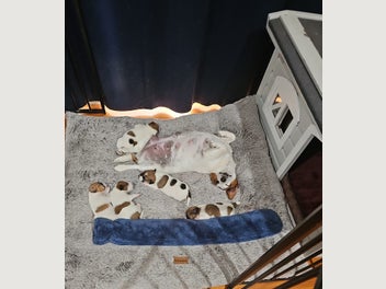 Image 1 of 19