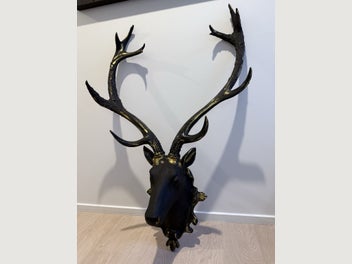 Image 1 of 7