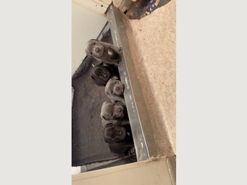 Image 1 of 6