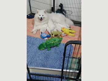 Image 1 of 14
