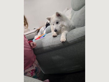 Image 1 of 6