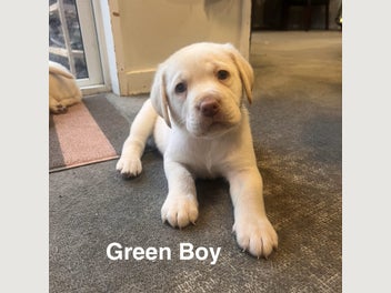 Image 1 of 19