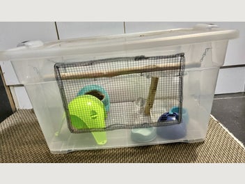 Image 1 of 1