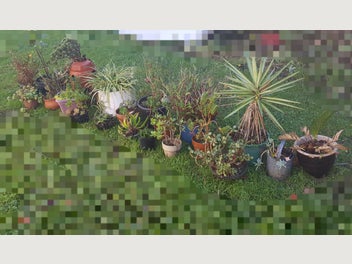 Image 1 of 7
