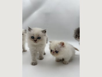 Image 1 of 19