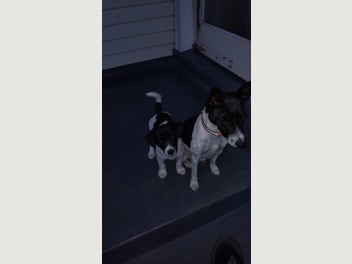 Image 1 of 10