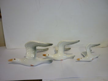 Image 1 of 9