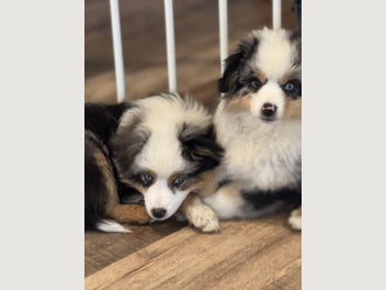 Image 1 of 14