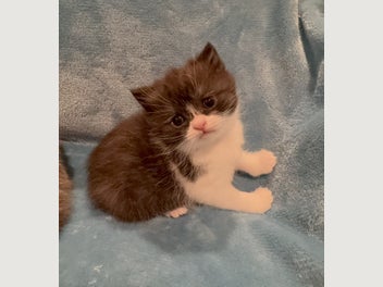 Image 1 of 13