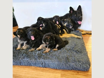 Image 1 of 20