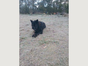 Image 1 of 7