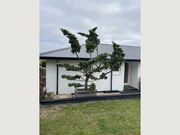 Image 1 of 4