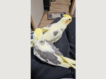 Image 1 of 10