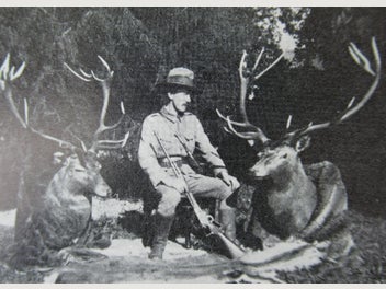 Image 1 of 20