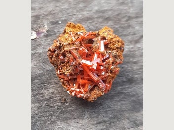 Image 1 of 8