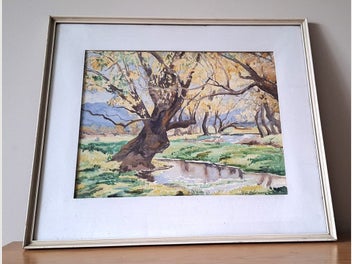 Image 1 of 19