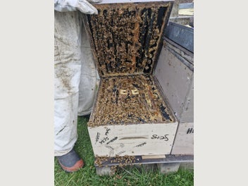 Image 1 of 7