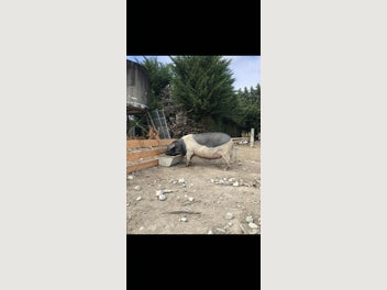 Image 1 of 10