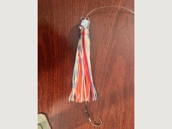Image 1 of 7