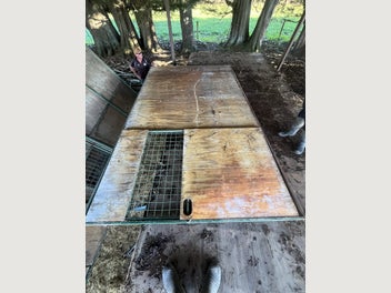 Image 1 of 20