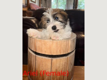 Image 1 of 6