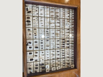 Image 1 of 8