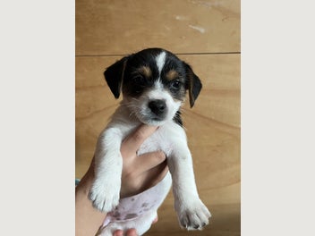 Image 1 of 10
