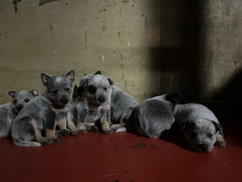 Image 1 of 7