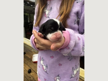 Image 1 of 3
