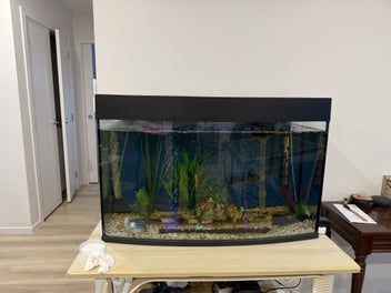 Image 1 of 17